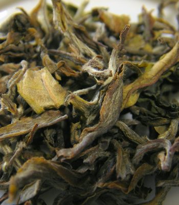 White Tea in Darjeeling on an India Tour