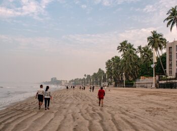India Tour - Juhu Beach - Palm Trees