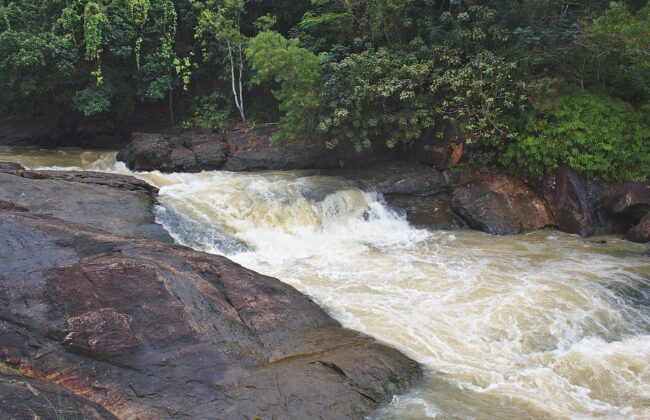 India_Tour_Kerala_Karamana-River-2_Author-Shishirdasika