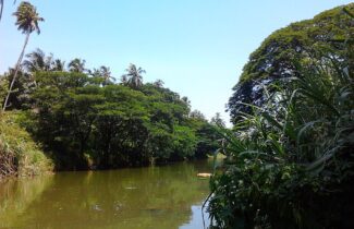 India_Tour_Kerala_Karamana-River_Author-Aravind-Sivaraj
