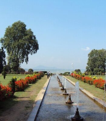 India Tours | Beauty of the Himalayas | Park