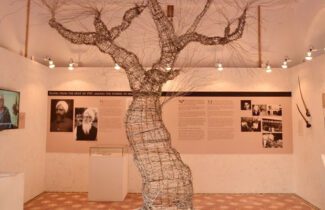 India Tour | Amritsar |Partition Museum | Inside Tree Art